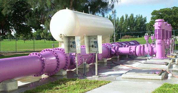 Purple Pipes